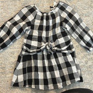 J crew gingham dress